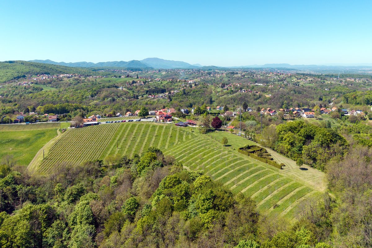 Vinogradi i brežuljci Zlatnih gorica iz zraka
